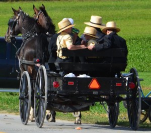 "Amish Ride"