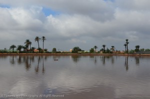 "Moroccan Reflection II"                                         
